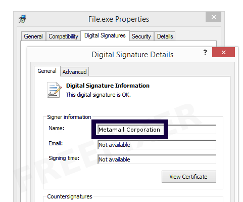 Screenshot of the Metamail Corporation certificate